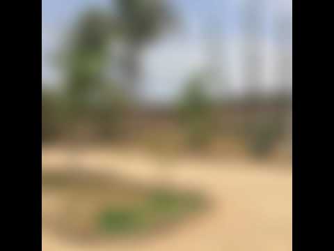 Vídeo