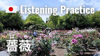 Practicing Katakana pronunciation in a Rose Garden | Japanese Listening Practice