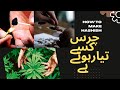 Original Chars In Pakistan Tirah Maidan Pure Chars In The World How To Make Hashish Chars