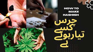 Download lagu Original chars in Pakistan tirah maidan || Pure chars in the world || How to make hashish chars || mp3 Download lagu Original chars in Pakistan tirah maidan || Pure chars in the world || How to make hashish chars || mp3