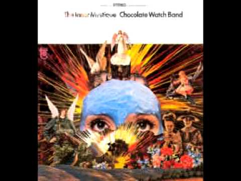 Chocolate Watch Band - I'm Not Like Everybody Else