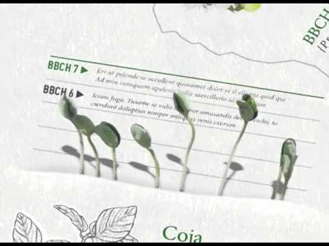 Zelena prognoza, 4.3.2016. - O stanju u zasadima jabuka