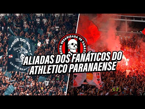 TORCIDA OS FANÁTICOS: ALIADAS E AMIZADES