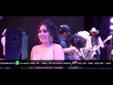 Una Noche de Huapangos - con La Necesidad Norteña en vivo