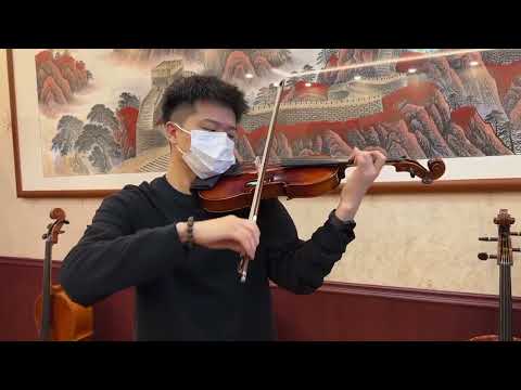 4/4 Handmade Professional Violin Outfit, European Maple & Spruce ,Rich Tone image 8
