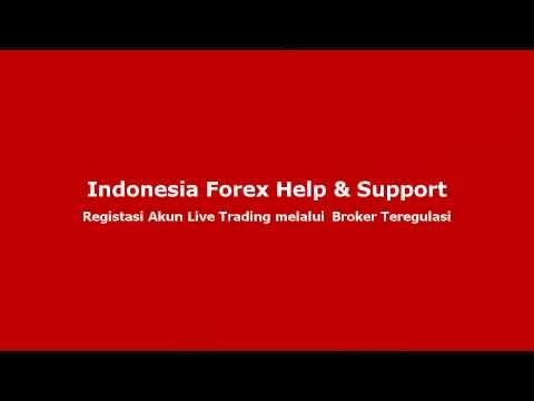 Best ib forex brokers
