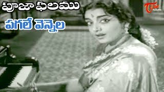 Pagale Vennela Song From Pooja Phalam Movie  ANR  