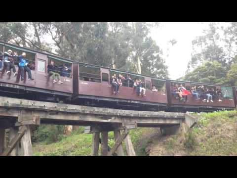 Puffing Billy Melbourne