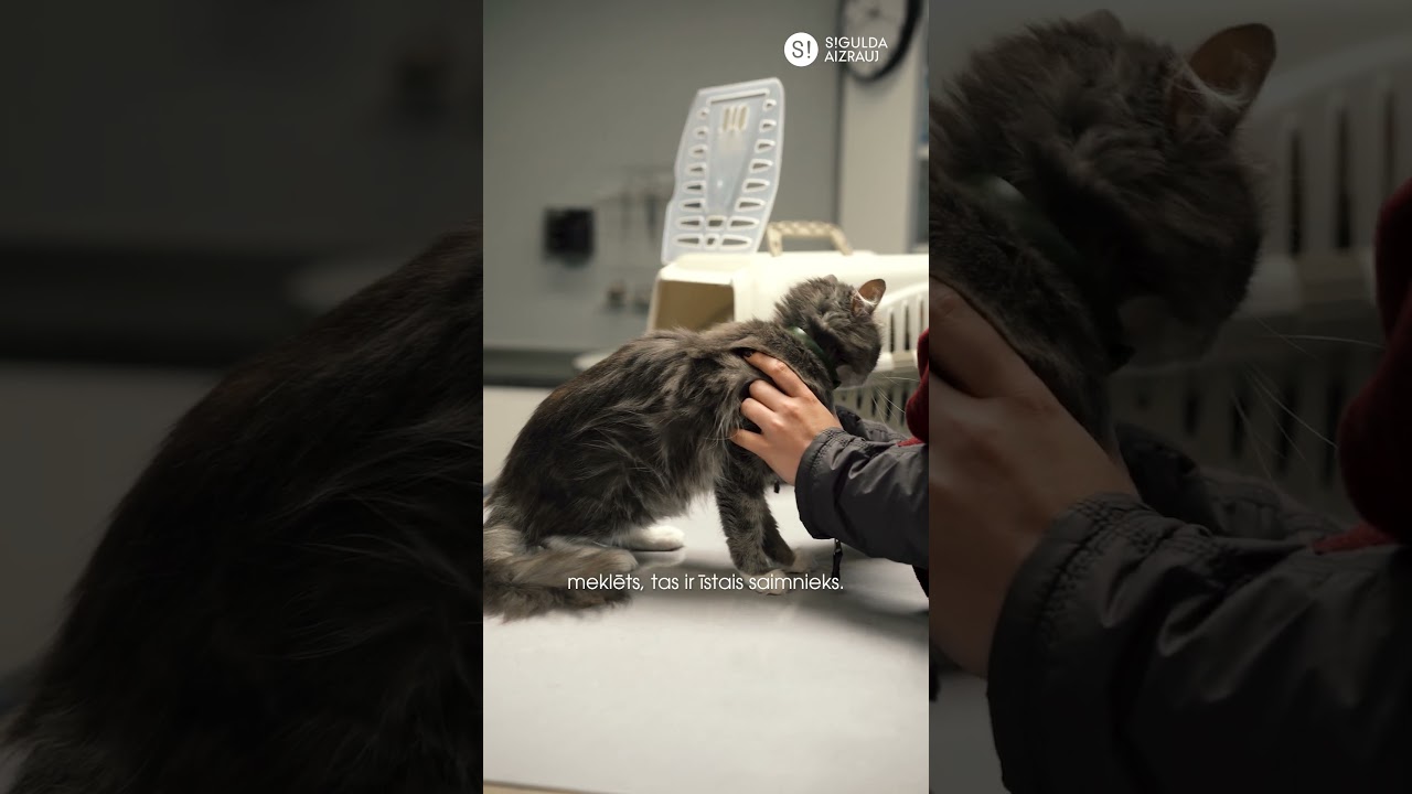 Siguldas novada pašvaldība atgādina: atbildīgs saimnieks – drošs mājdzīvnieks