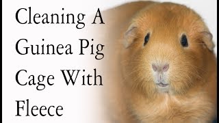 Cleaning A DIY Guinea Pig Cage *With Fleece Bedding*