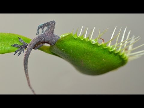 https://www.youtube.com/watch?v=yWd_PxtoSTo