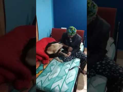 Manash Pratim Digboi and TINTIN