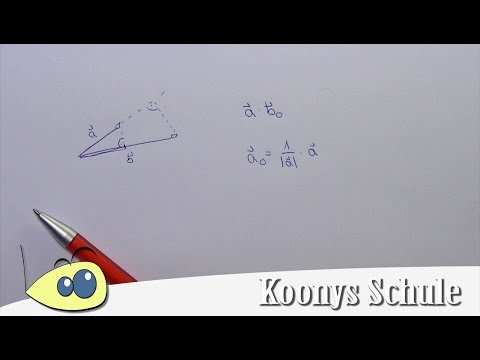 Was bedeutet das Skalarprodukt?  #oneminute