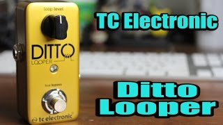 TC Electronic Ditto Looper Limited Edition Gold - What To Know