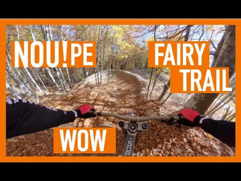 Fairy Trail Sinaia - Transformarea Spectaculoasă! 🚵‍♂️ Cum s-a Îmbunătățit Traseul 🚀