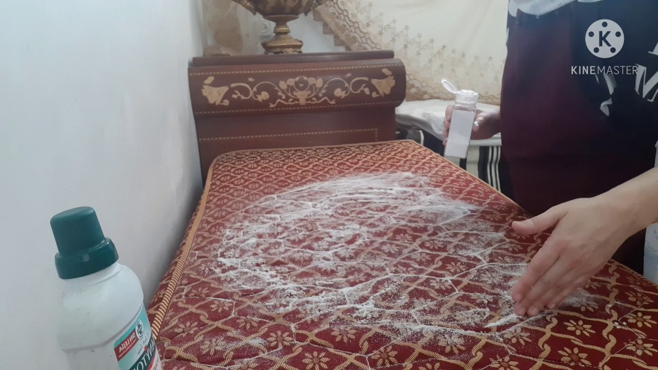 Watch como limpiar un colchón de pis, Now como limpiar un colchón de pis,