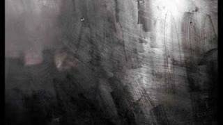 All We Had by Daylight Dies