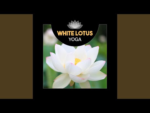 download lagu mp3 mp4 Healing And Transformation, download mp3 Healing And Transformation free download mp3, download mp3 Healing And Transformation