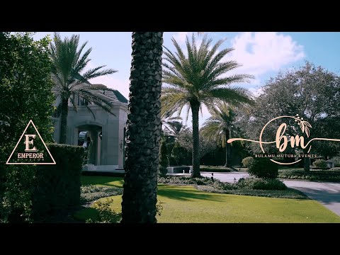 Amos Lovinz - Munno (Official 4K Video)