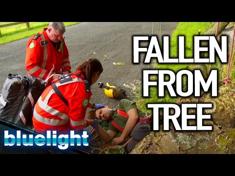 FALLEN from a TREE (Helicopter Rescue) | Air Ambulance ER | Blue Light: Police & Emergency