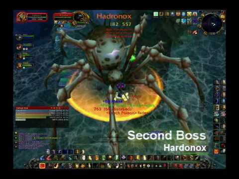 Heroic Azjol-Nerub H AN Paladin Tank