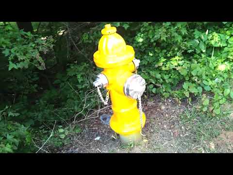 Scarf talks at end of Paladin Walk in NEW boots