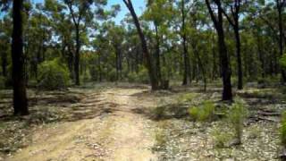 preview picture of video 'Driving through a typical Central Victorian goldfields track; in a 1988 Holden V8.'