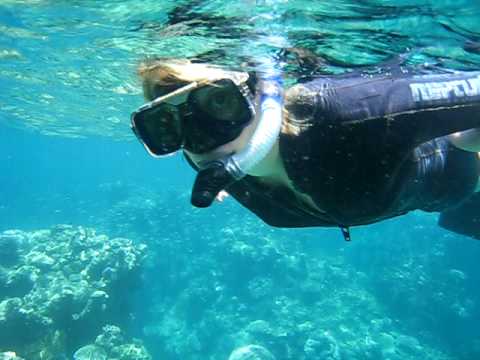 Great Barrier Reef: Snorkeling the Norman Reef, Part 1
