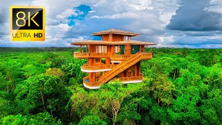 Most Beautiful JUNGLES in the World Film 8K VIDEO ULTRA HD - 4K TV Dolby Vision