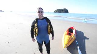 Man has close encounter with whale