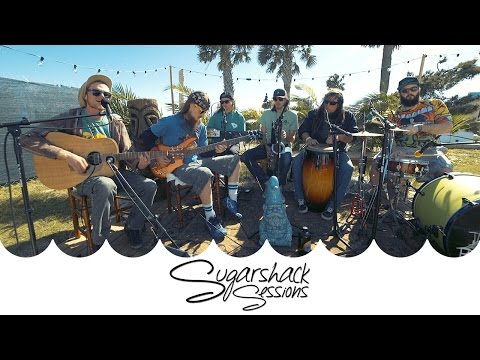 TreeHouse! - Babylon Pressure (Live Acoustic) | Sugarshack Sessions