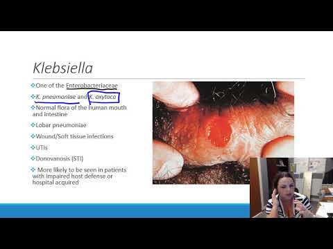 Klebsiella oxytoca férfiak kenetében - Klebsiella paraziták