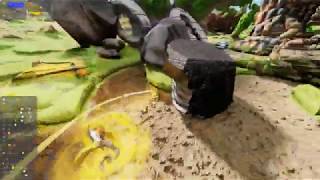 Banana Slug Beach Materials View