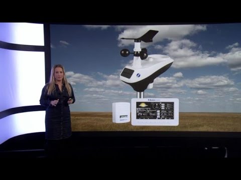 RTL Z Weer opmerkelijk woensdag 2 maart 2016 12:10 - RTL WEER