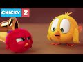 Where S Chicky Funny Chicky 2021 POYO IS MAD Chicky Cartoon In English For Kids