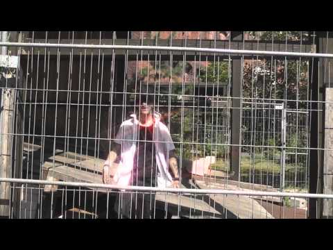 Sandman - Du warst * Free Track