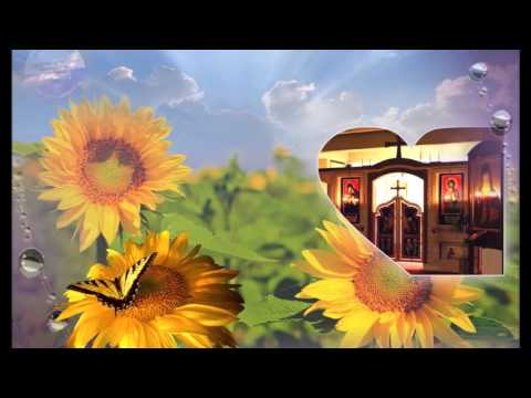 Părintele Ovidiu-Ciprian Marţiş, Priceasna „Vei veni, Iisuse, ştiu că vei veni."