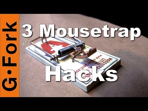 Get Rid Of Mice! | 3 Mouse Trap Hacks | GardenFork