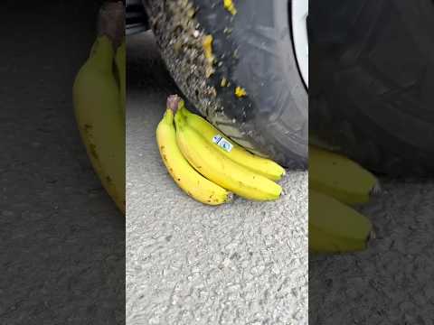 Bánh Xe Của Tôi Đã Dẫm Phải Những Thứ Này 🛞🚘🥚🍌🍌