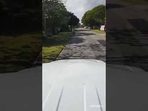 #VSA2020 | Girls 15 | Zanri Black | 400m | 0:57'97