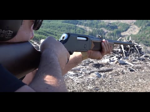 Comes with a Hammer Extender