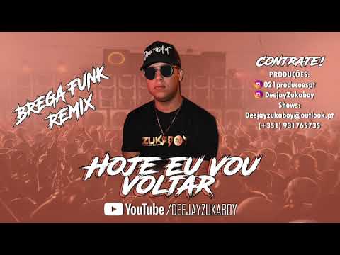 MC NIEL - HOJE EU VOU VOLTAR BREGA FUNK REMIX