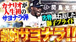 【人生初サヨナラ弾ッ】カナリオ『劇的アーチで連敗止めた!!! 劣勢を跳ね返した獅子のプライド!!!』