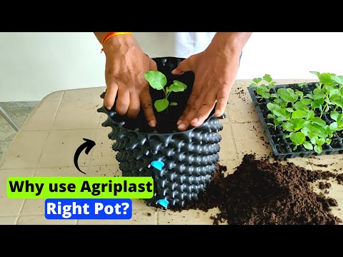 Agriplast Right Pot