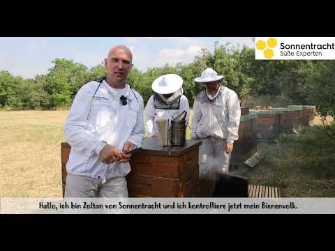 Vorstellung Sonnentracht Imkerei
