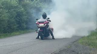 CRANKING THE HOG