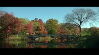 Download lagu CRITICAL ELEVEN, official teaser, lagu dari ALE untuk ANYA mp3