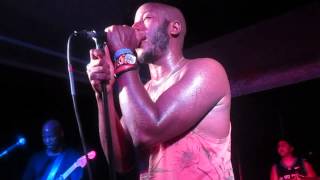 Bad Rabbits - 1979 (Smashing Pumpkins Cover)