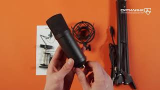 Микрофон Ritmix RDM-180, черный - купить в Ситилинк | 1160286