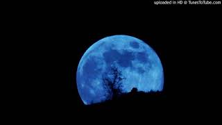 Cottonfields &amp; Blue Moon of Kentucky